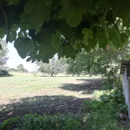 Bed & Breakfast Masseria Molino Fontanelle