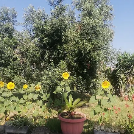 Bed & Breakfast Masseria Molino Fontanelle